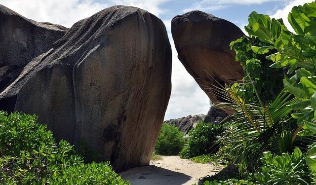 Seychelles Strengthens Climate Reporting through Training on New Transparency Platform – United Nations Development Programme