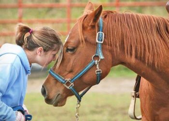 A horse therapy program in Namibia brings joy to children with learning disabilities – The Killeen Daily Herald