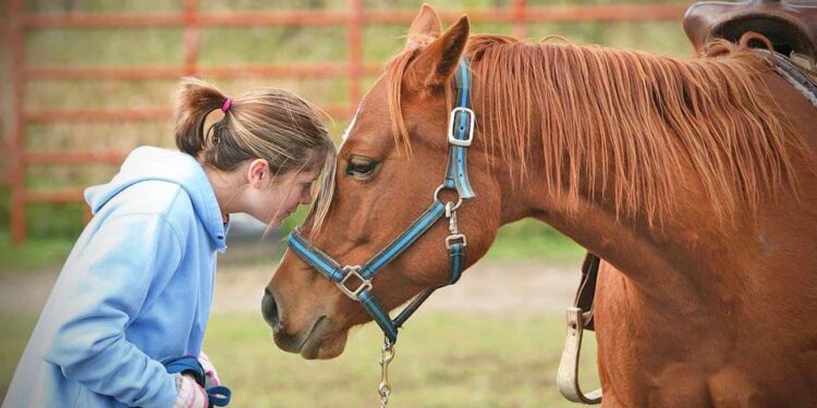 A horse therapy program in Namibia brings joy to children with learning disabilities – The Killeen Daily Herald