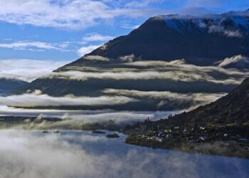 Air New Zealand Initiates Share Buy-Back Program – TipRanks