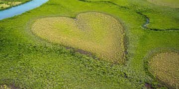 New Caledonia one win from finals – Taipei Times