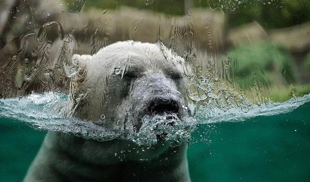 What would change your mind about climate change? We asked 5,000 Australians – here’s what they told us – The Conversation