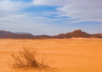 Morning update – Middle East Eye