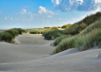 Netherlands allowed to stop shelter for third-country nationals: Council of State – NL Times