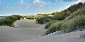 Netherlands allowed to stop shelter for third-country nationals: Council of State – NL Times