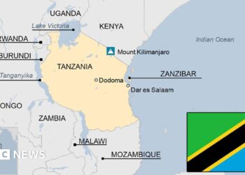 Tanzania opposition leader arrested at rally, his party says – Reuters