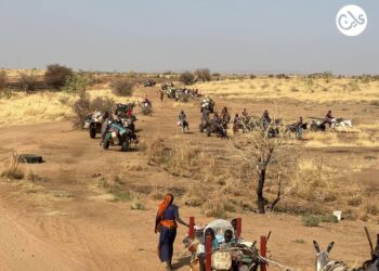 Humanitarian situation continues to deteriorate in El Fasher, Sudan – UN News