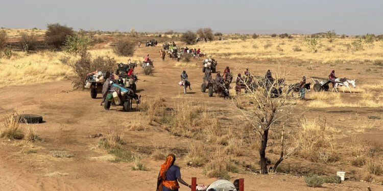 Humanitarian situation continues to deteriorate in El Fasher, Sudan – UN News