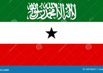 Somaliland: What elections mean for regional power dynamics – DW