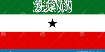 Somaliland: What elections mean for regional power dynamics – DW