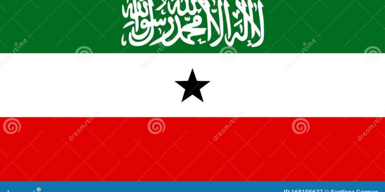 Somaliland: What elections mean for regional power dynamics – DW