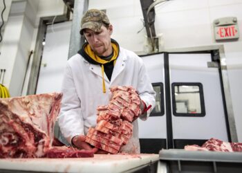 How does butchering the State Department ‘make America great’? – The Hill