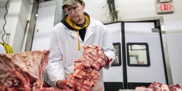 How does butchering the State Department ‘make America great’? – The Hill