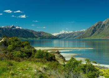 New Zealand’s minor gov’t party pushes to define women by biological sex – Al Jazeera