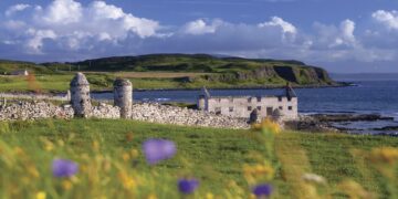 Rathlin Island: Nettle roots arrive to support corncrakes – BBC