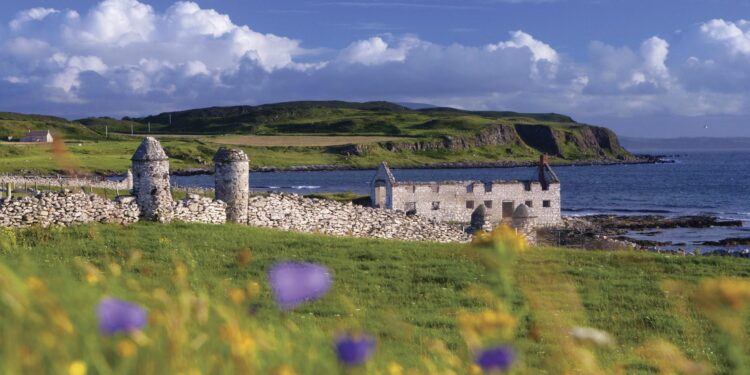 Rathlin Island: Nettle roots arrive to support corncrakes – BBC