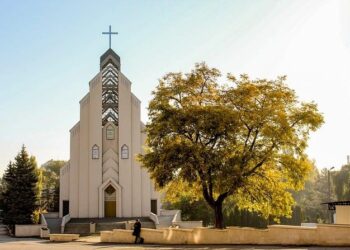 Moldova’s pro-Western Sandu claims election win after meddling allegations – Reuters
