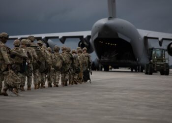 Hungary deploys military to contain foot-and-mouth outbreak – Reuters