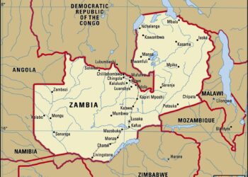 Tackling Zambia’s child rape crisis – DW