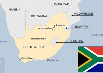 South Africa’s treasury looking at alternatives to VAT hike – Reuters