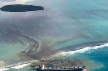 Effects of Japanese oil spill still felt in Mauritius mangroves today – Oceanographic Magazine