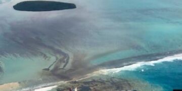 Effects of Japanese oil spill still felt in Mauritius mangroves today – Oceanographic Magazine