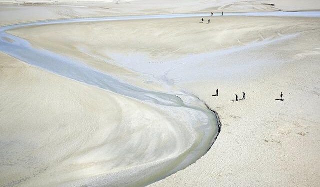 France, Algeria continue talks in effort to repair fractured ties – France 24