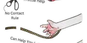 Coller Capital hires Alexander Ordon to lead private wealth secondaries push in Australia and New Zealand – Private Equity Insights