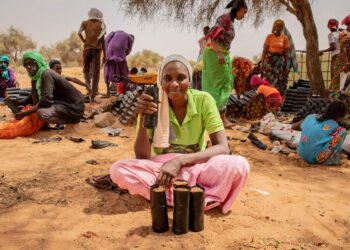 Senegal closing on universal electricity access – World Bank