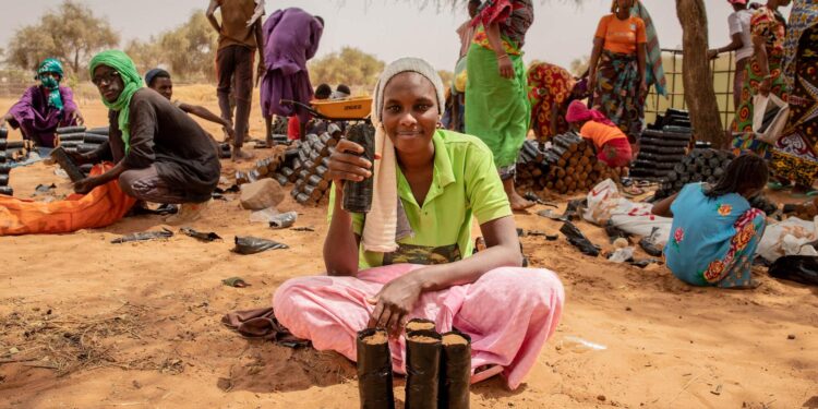 Senegal closing on universal electricity access – World Bank