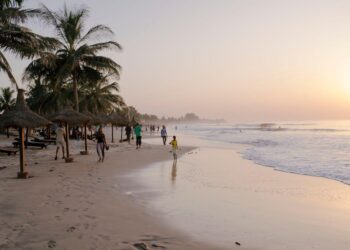 After years of decline, Gambia’s natural spaces are on the mend – UNEP – UN Environment Programme