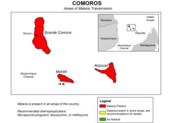 Burden of malaria in the Comoros, 1990–2021: findings from the global burden of disease study 2021 – Frontiers