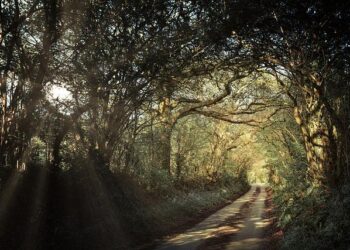 New requirements when traveling to the United Kingdom – army.mil