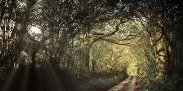 New requirements when traveling to the United Kingdom – army.mil