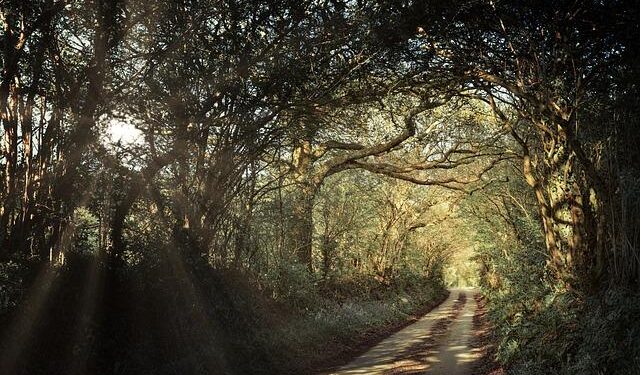 New requirements when traveling to the United Kingdom – army.mil