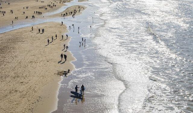 Netherlands to Spend $352M on Drones, AI in 2025 – Defense Mirror