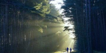 Outcomes of a Program to Reduce Birth-Related Mortality in Tanzania – The New England Journal of Medicine