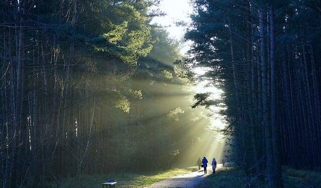 Outcomes of a Program to Reduce Birth-Related Mortality in Tanzania – The New England Journal of Medicine