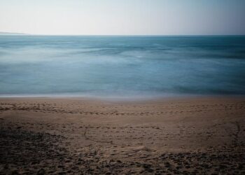 In an idyllic California corner, protesters descend on a factory of war – SFGATE