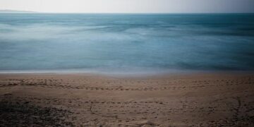 In an idyllic California corner, protesters descend on a factory of war – SFGATE