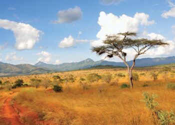 Kenya – European Civil Protection and Humanitarian Aid Operations