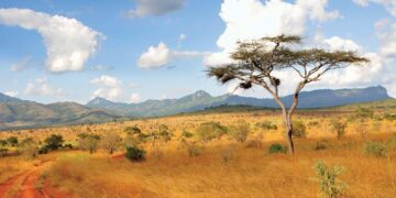 Kenya – European Civil Protection and Humanitarian Aid Operations