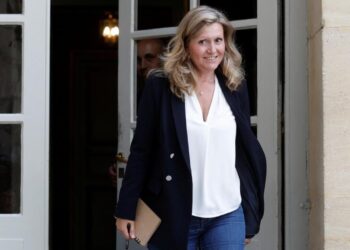 French overseas minister returns for talks in New Caledonia amid ongoing crisis – World Socialist Web Site