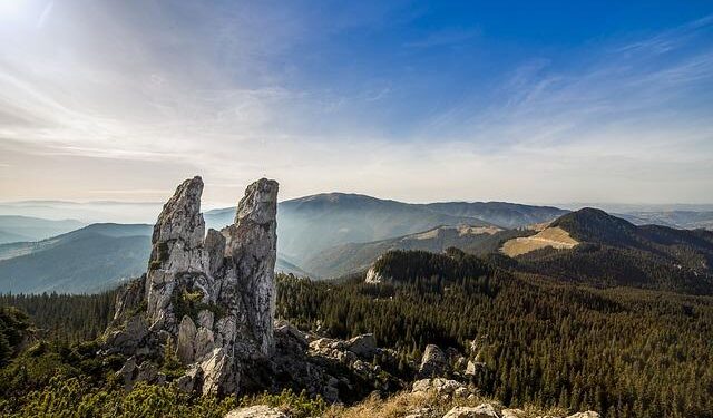 Romania plans to expand its army by 35,000 troops – Latest news from Azerbaijan