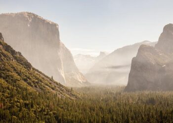 Belgium warned not to let ‘pharma valley’ become a ‘pharma desert’ – Euractiv