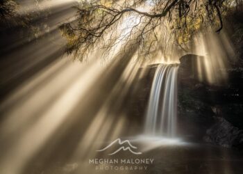 New Zealand Photographers Win in Oceania Contest – The Nature Conservancy