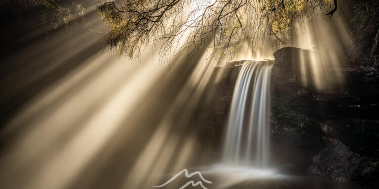 New Zealand Photographers Win in Oceania Contest – The Nature Conservancy