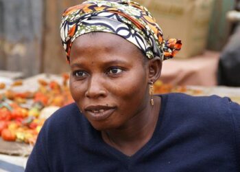 Transforming The Gambia’s Agriculture: From Subsistence to Market-Oriented Farming – World Bank