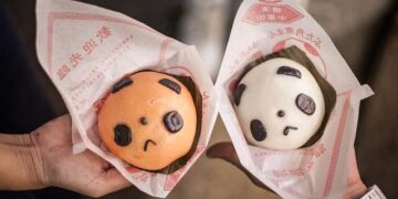 Hamas delegation head to Egypt to discuss Gaza truce as Israeli strikes continue – France 24