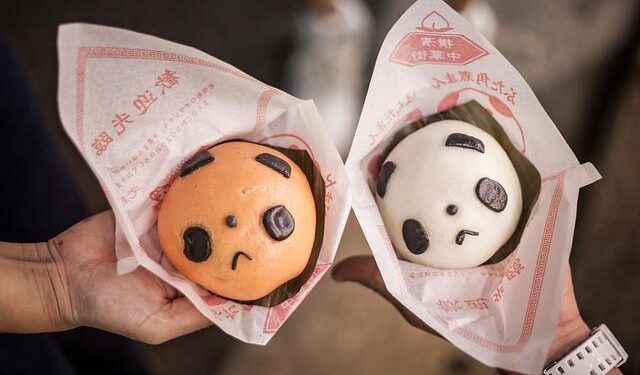 Hamas delegation head to Egypt to discuss Gaza truce as Israeli strikes continue – France 24